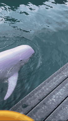 whale